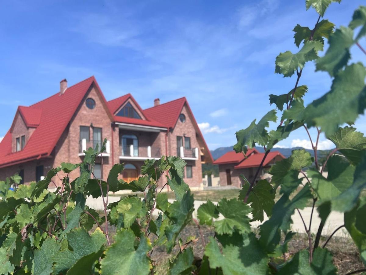 Begaso Family Winery Hotel Kvareli Bagian luar foto